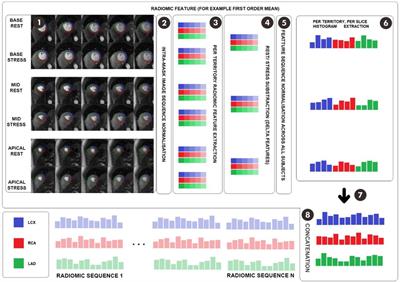 Radiomics analysis enhances the diagnostic performance of CMR stress perfusion: a proof-of-concept study using the Dan-NICAD dataset